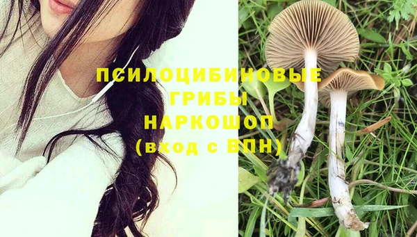 бутират Каменногорск