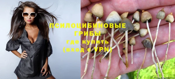 бутират Каменногорск