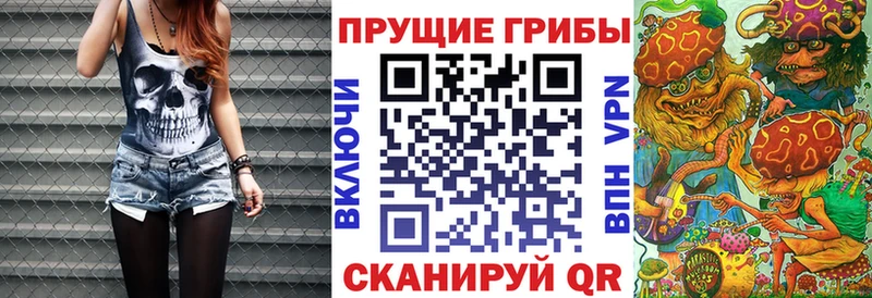 Галлюциногенные грибы GOLDEN TEACHER  Купить где  Белый 